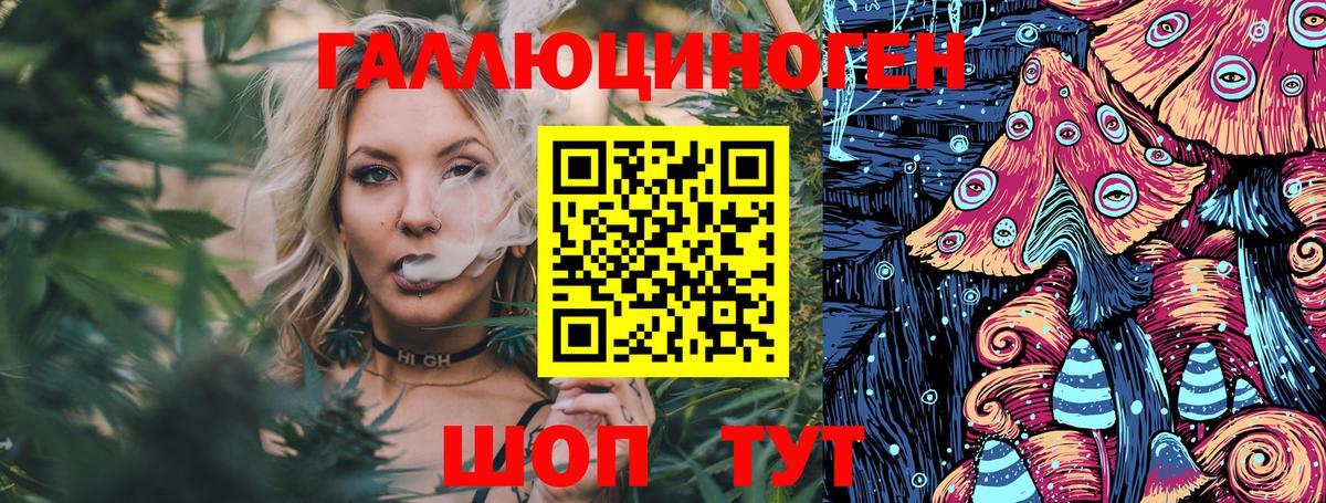 Псилоцибиновые грибы GOLDEN TEACHER  Вход с VPN  Асино 